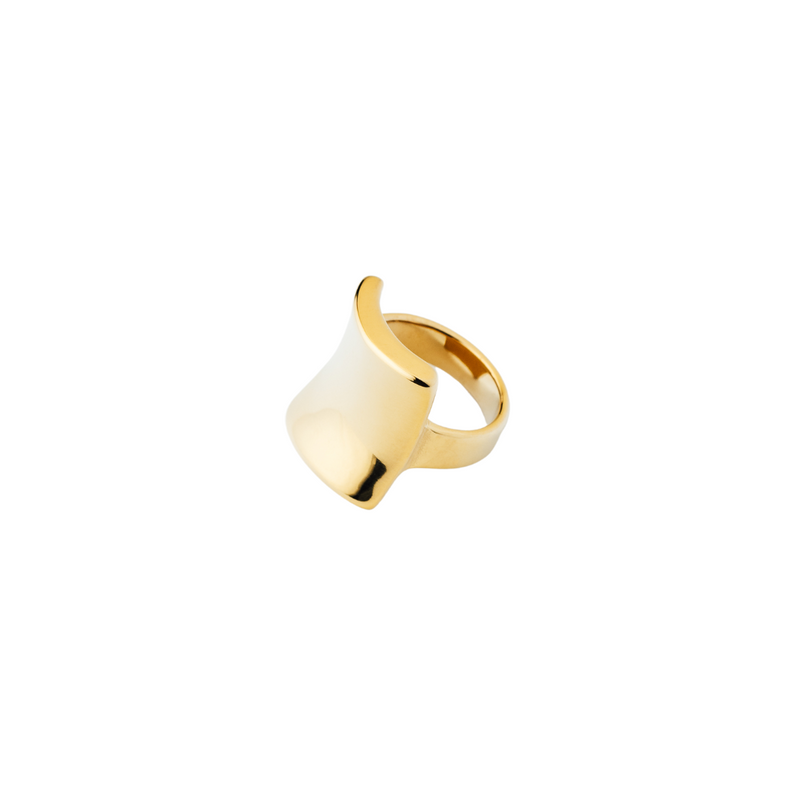 Anillo Rectangular Oro